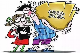 龙湖龙湖的要账公司在催收过程中的策略和技巧有哪些？